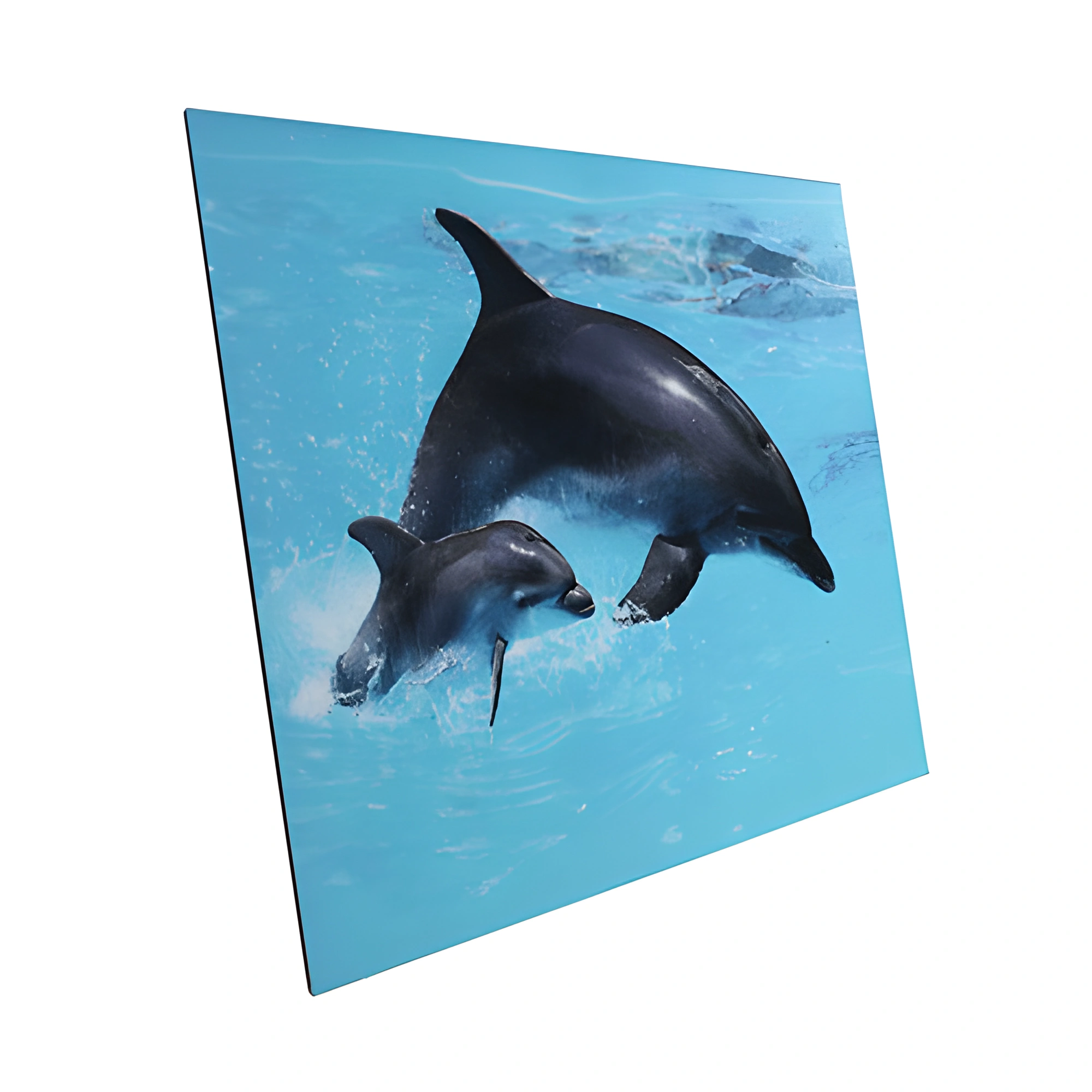 foam board negro