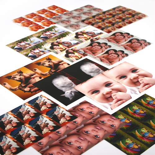 copy-package.webp