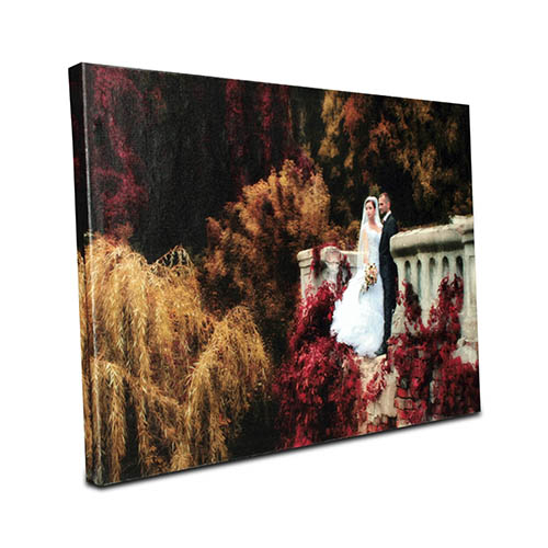 canvas